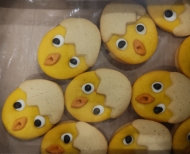 LUCAS FROLLE PZ.10 PULCINO